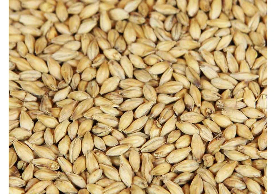 Weyermann Beech Smoked Malt 1kg Whole