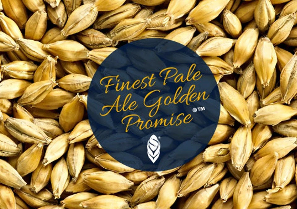 Simpsons Golden Promise LOW COLOUR Pale Ale Malt 25kg Whole